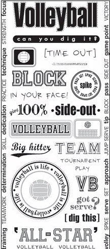 Art Warehouse Volleyball Stickers