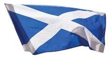 Scottish Flag Diecut