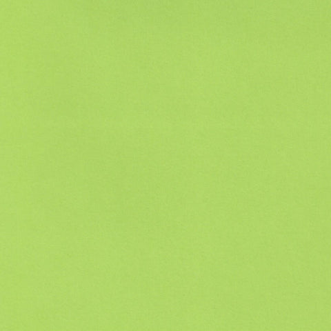 Lime A4 Cardstock